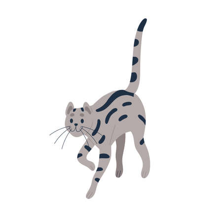 Happy tom cat walking. Cute striped kitty going with tail raised up. Adorable tabby kitten strolling. Smiling feline animal. Charming pet. Flat vector illustration isolated on white backgroundのイラスト素材