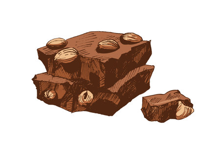 Vintage realistic colored drawing of pieces of broken chocolate bar. Sweet dessert or delicious confection with nuts isolated on white background. Hand drawn vector illustration in antique styleのイラスト素材