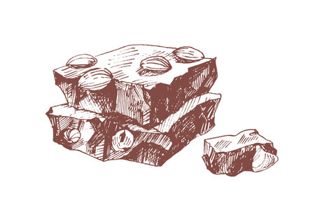 Chocolate bar pieces with hazelnut hand drawn vector illustration. Delicious sweet confection isolated on white background. Natural organic product with nut, tasty candy drawing in vintage styleのイラスト素材