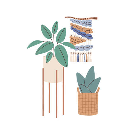 Potted home plants and macrame panel. Modern decoration for home interior design. Floor houseplants...
