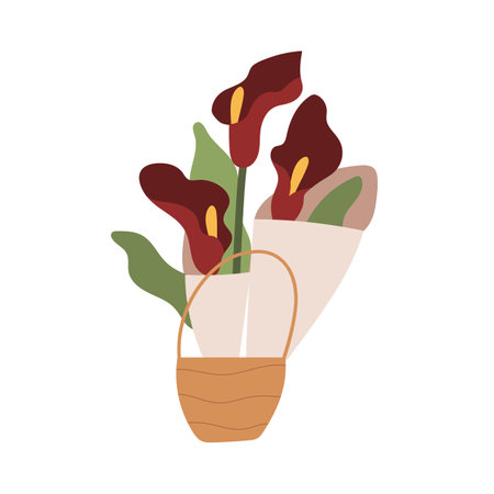 Calla lilies with leaf in basket. Cala flowers wrapped in paper in wicker. Elegant blooming floral plant. Gorgeous fresh cut flora. Colored flat vector illustration isolated on white backgroundのイラスト素材