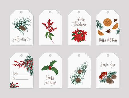 Collection of Christmas label or tag templates decorated with seasonal plants - coniferous tree branches and cones, holly berries and leaves, poinsettia, oranges and star anise. Vector illustration.のイラスト素材