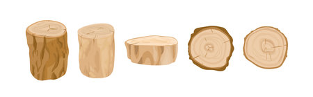Tree stumps and logs vector illustrations set. Tree trunk parts top and side view. Felled forest, industrial wood, building material. Firewood, constructing stuff, lumber isolated on white backgroundのイラスト素材