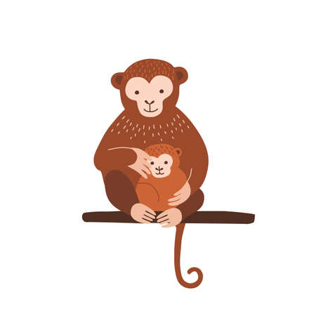 Monkey with baby sitting on tree branch isolated on white background. Family of wild exotic jungle animals. Parent with youngling, mother and child. Flat cartoon colorful vector illustrationのイラスト素材