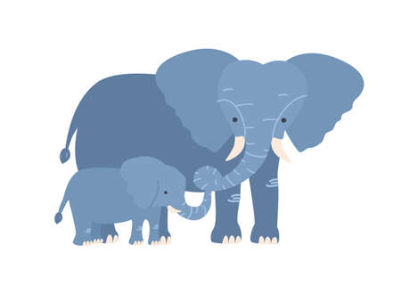Elephant with calf isolated on white background. Family of wild African savannah herbivorous animals. Adorable parent with child, mom and baby or offspring. Flat cartoon colorful vector illustrationのイラスト素材