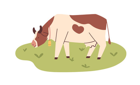 Milk cow grazing on pasture field, eating green grass. Milker with bell on meadow. Domestic animal feeding on organic grassland. Flat vector illustration of dairy farm isolated on white backgroundのイラスト素材