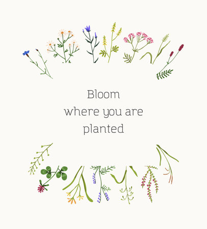 Floral card design with wild flowers, field herbal plants. Botanical postcard template with delicate pretty meadow herbs, wildflowers. Spring background with space for text. Flat vector illustrationのイラスト素材