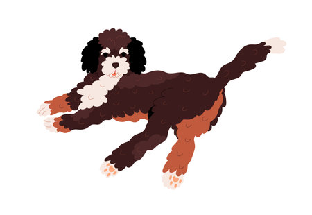 Cute Labradoodle dog relaxing, lying. Happy Goldendoodle doggy with curly wavy coat. Canine animal of fluffy doodle breed. Friendly puppy. Flat vector illustration isolated on white backgroundのイラスト素材