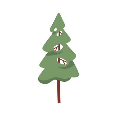 Fir tree, evergreen coniferous woods plant with trunk and crown. Green conifer. Forest spruce. Botanical flat cartoon vector illustration of firtree isolated on white backgroundのイラスト素材