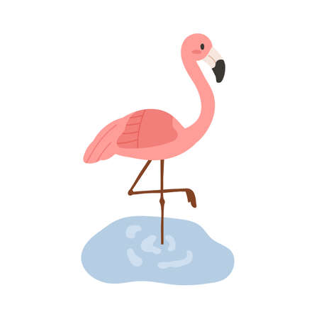 Flamingo, wild pink-feathered bird. African savanna habitant. Exotic tropical inhabitant. Jungle animal. Flat vector illustration isolated on white backgroundのイラスト素材