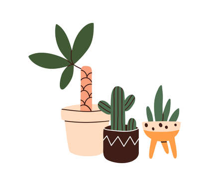 Potted leaf plants and cactus. Green interior houseplants growing in flowerpots. Natural home and office decoration. Room vegetation in planters. Flat vector illustration isolated on white backgroundのイラスト素材