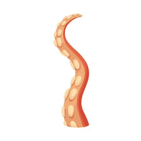 Octopus tentacle spreading, rising up. Sea underwater monsters leg with suckers. Ocean squids limb twisted. Ominous marine animal, cuttlefish. Flat vector illustration isolated on white backgroundのイラスト素材
