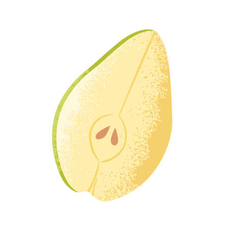 Fresh pear piece. Ripe fruit slice, cut half with seeds. Healthy vitamin summer food. Natural raw dessert, cross section. Textured flat vector illustration isolated on white backgroundのイラスト素材