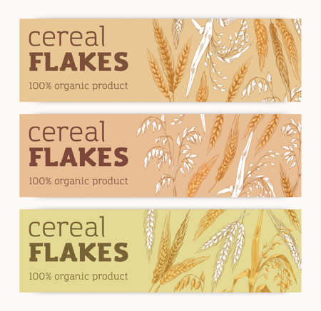 Ad banners set with cereal crops. Organic grain food, products, horizontal backgrounds in vintage style. Promo designs, templates with oat, wheat, barley spikelets. Hand-drawn vector illustrations.のイラスト素材
