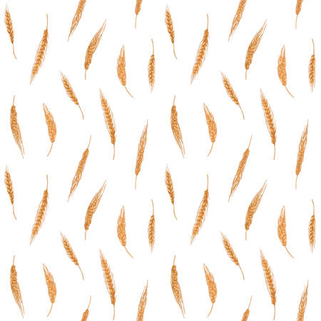 Seamless cereal pattern with grain crop. Endless background with wheat, barley spikelets. Repeating print with golden field plants. Texture design in vintage style. Drawn graphic vector illustration.のイラスト素材