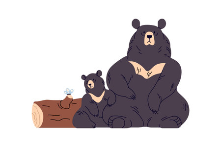 Sun bears family, mother and baby. Tropical wild animals sitting, resting. Helarctos malayanus in nature. Asian Malayan wildlife. Flat vector illustration isolated on white backgroundのイラスト素材