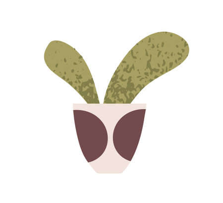 Potted house plant. Abstract green-leaf houseplant growing in flowerpot. Home, office interior decoration. Room indoor leafy decor, homeplant. Flat vector illustration isolated on white backgroundのイラスト素材