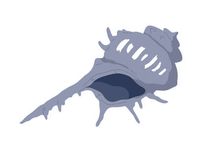 Sea underwater shell with spikes. Seashell, undersea mollusc. Twisted spiral conch, shellfish. Ocean clam with thorns, spines. Marine mollusk. Flat vector illustration isolated on white backgroundのイラスト素材