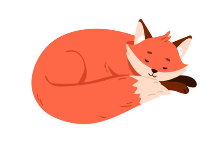 Cute fox pup sleeping, relaxing. Wild animal asleep, curled up in fetal position. Sweet sleepy cub lying and dreaming. Lovely forest character. Flat vector illustration isolated on white backgroundのイラスト素材