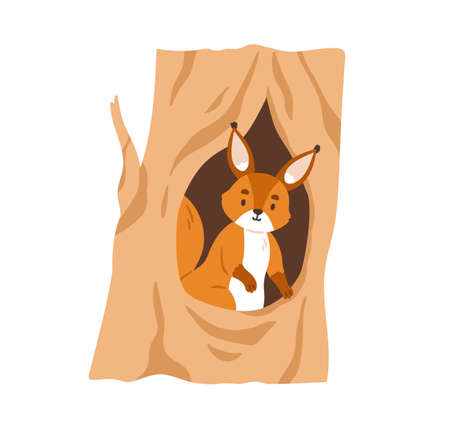 Cute squirrel inside hole house. Small forest animal looking out of tree hollow in woods. Adorable rodent peeking out of shelter in trunk. Flat vector illustration isolated on white backgroundのイラスト素材