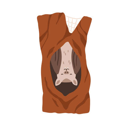 Cute bat sleeping upside down in tree hole. Forest night animal inside trunk hollow shelter. Sleepy wild character in woods house. Flat vector illustration isolated on white backgroundのイラスト素材