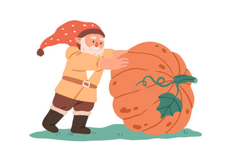 Cute garden gnome with pumpkin. Fairytale dwarf with Halloween vegetable on farm. Small bearded elf man in cap and big autumn harvest. Childish flat vector illustration isolated on white backgroundのイラスト素材
