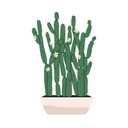 Blooming cactus, house prickly plant growing in floor planter. Green cacti with blossomed flower in pot for home backyard. Tall exotic houseplant. Flat vector illustration isolated on white backgroundのイラスト素材