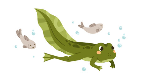 Cute tadpole swimming in water. Little baby frog floating. Green amphibian, adorable froggy animal. Happy smiling larval character. Flat cartoon vector illustration isolated on white backgroundのイラスト素材