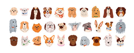 Cute dogs faces set. Canine head portraits of different doggy breeds. Funny puppies muzzles. Happy pups avatars of bulldog, poodle, pug. Flat graphic vector illustrations isolated on white backgroundのイラスト素材