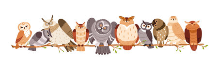 Cute owls sitting on tree branch in row. Funny curious birds together. Different adorable amusing wild owlets, birdies, feathered animals on twig. Flat vector illustration isolated on white backgroundのイラスト素材