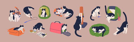Cute cat and supplies. Funny kitty playing with toy, sleeping in cushion bed, in carrier, box, bag, at scratching post. Feline animals activities, life, stuff set. Isolated flat vector illustrationsのイラスト素材