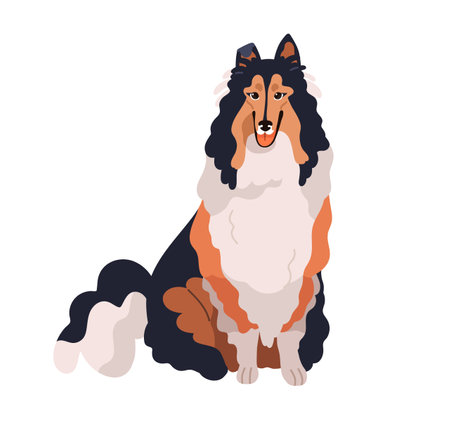 Cute dog of Collie breed, pedigree. Happy funny long-coated hairy doggy. Adorable shaggy tricolor canine animal, lovely sweet purebred pet. Flat vector illustration isolated on white backgroundのイラスト素材