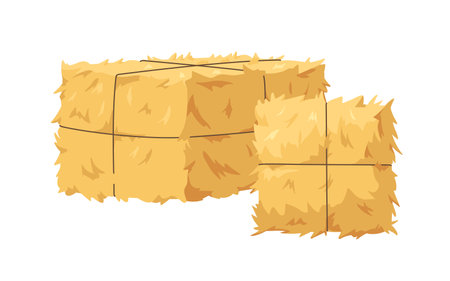 Hay bale, gold wheat stack tied with twine. Golden straw, dry glass bundle, agriculture harvest squeezed in rectangle and square shapes. Flat cartoon vector illustration isolated on white backgroundのイラスト素材