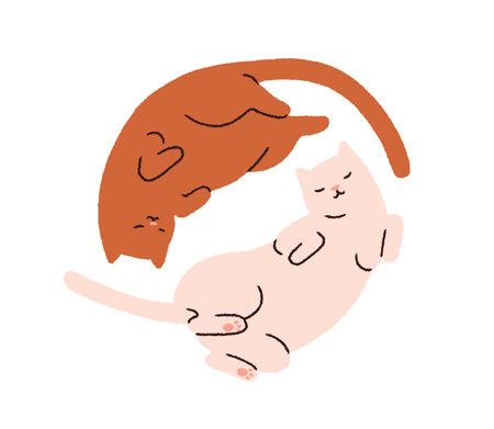 Cute cats pair in yin yang circle. Two kitties lying belly up in zen pose. Funny sleeping feline animals couple. Balance, harmony concept. Flat vector illustration isolated on white backgroundのイラスト素材