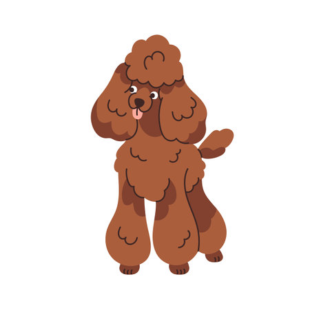 Cute dog of Standard Poodle breed. Happy purebred doggy with curly coat. Adorable canine animal with fuzzy wavy hair. Funny groomed companion pet. Flat vector illustration isolated on white backgroundのイラスト素材