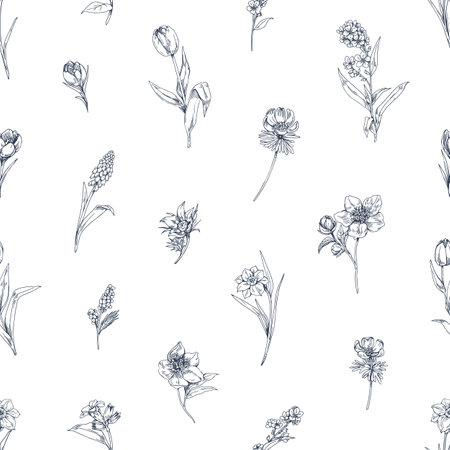 Engraved flowers pattern, botanical repeating print. Vintage outlined contoured floral plants, endless background, texture design. Etched hand-drawn vector illustration for fabric, textile, wrappingのイラスト素材
