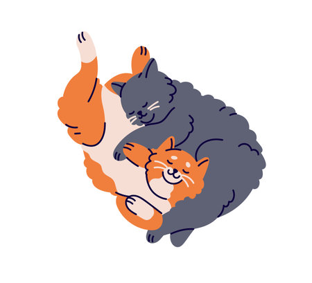 Cute cats couple sleeping, hugging. Happy sweet sleepy lazy kitties in love lying together, embracing. Adorable feline animal asleep, top view. Flat vector illustration isolated on white backgroundのイラスト素材