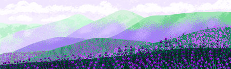 Lavender field on hills, nature landscape background. Purple floral plants blooming on meadow. Blossomed violet lavanders, countryside panorama scenery, wild gentle flora. Flat vector illustrationのイラスト素材