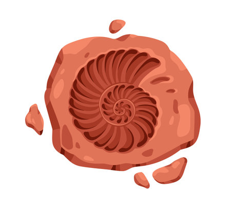 Ammonite, fossil rock with spiral sea shell imprint. Archeology prehistoric art on stone with fossilized natural footprint of seashell. Flat cartoon vector illustration isolated on white backgroundのイラスト素材