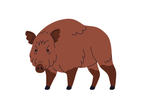 Wild boar, large forest pig, hog with brown fur. European Eurasian Sus Scrofa, swine beast. Woods fauna, omnivore mammal. Flat vector illustration isolated on white backgroundのイラスト素材