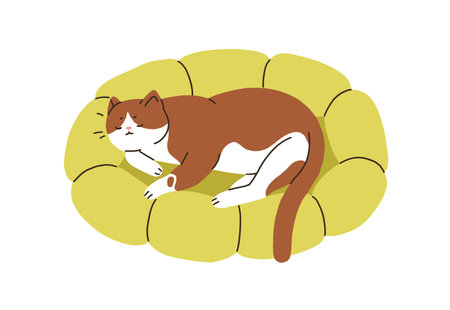 Cute cat sleeping in pet bed, cozy pillow. Adorable kitty asleep, lying on comfortable soft cushion, feline furniture. Sleepy relaxing pussycat. Flat vector illustration isolated on white backgroundのイラスト素材