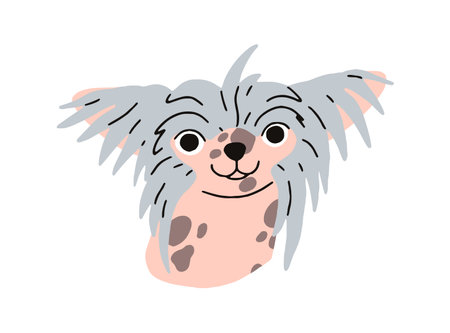 Cute funny puppy head of Chinese crested dog breed. Little amusing pup portrait. Small hairless doggy face. Canine animal, comic muzzle avatar. Flat vector illustration isolated on white backgroundのイラスト素材