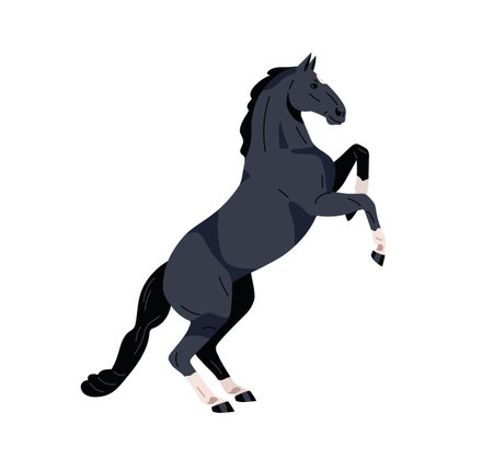 Horse in rearing pose, standing up on hind legs. Wild stallion, beautiful mustang in gorgeous position. Steed in motion, side view, profile. Flat vector illustration isolated on white backgroundのイラスト素材