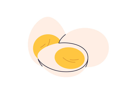 Boiled chicken eggs, cut halves and peeled whole. Healthy breakfast food with cooked yolk and protein. Natural eating, ingredient, composition. Flat vector illustration isolated on white backgroundのイラスト素材