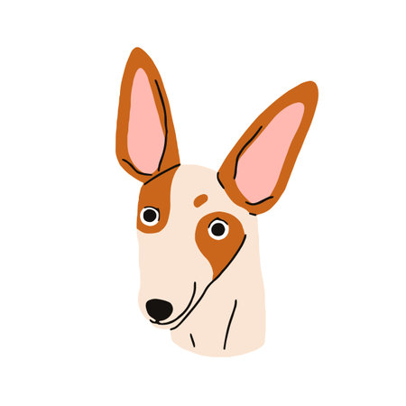 Dog head of Ibizan hound breed. Cute funny puppy, face portrait. Adorable bicolor spotted doggy, pup muzzle. Purebred canine animal snout. Flat vector illustration isolated on white backgroundのイラスト素材