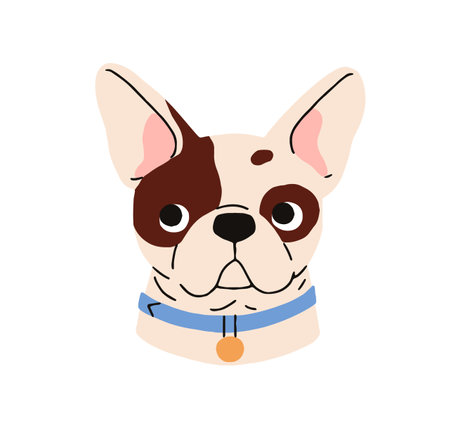 French bulldog breed, cute puppy. Little dog head, canine portrait, avatar. Funny doggy muzzle, snout. Small pup face with collar. Flat graphic vector illustration isolated on white backgroundのイラスト素材