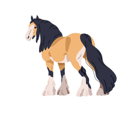 Draft draught heavy horse. Work stallion, tinker, gypsy cob breed. Purebred steed, equine animal with feathering on legs, mane, tail. Flat graphic vector illustration isolated on white backgroundのイラスト素材