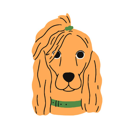 English Cocker Spaniel breed, cute dog avatar. Canine animal head portrait. Funny adorable puppy, pup, doggy muzzle with hairstyle. Flat graphic vector illustration isolated on white backgroundのイラスト素材