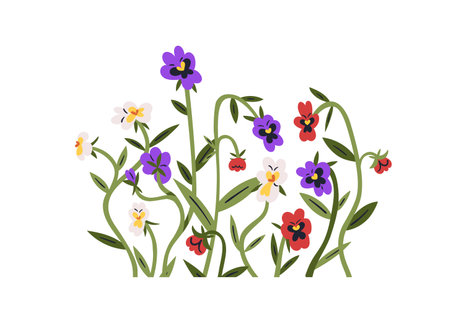 Flowers decoration. Pansies cluster. Heartsease wildflowers, blossomed field plants group. Gentle blooms branches, stems with leaf. Flat graphic vector illustration isolated on white backgroundのイラスト素材