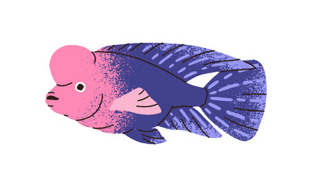 Cute fish, flowerhorn cichlids. Funny exotic tropical sea water animal with hump on head. Beautiful vivid ocean fauna, flower-horn species. Flat vector illustration isolated on white backgroundのイラスト素材
